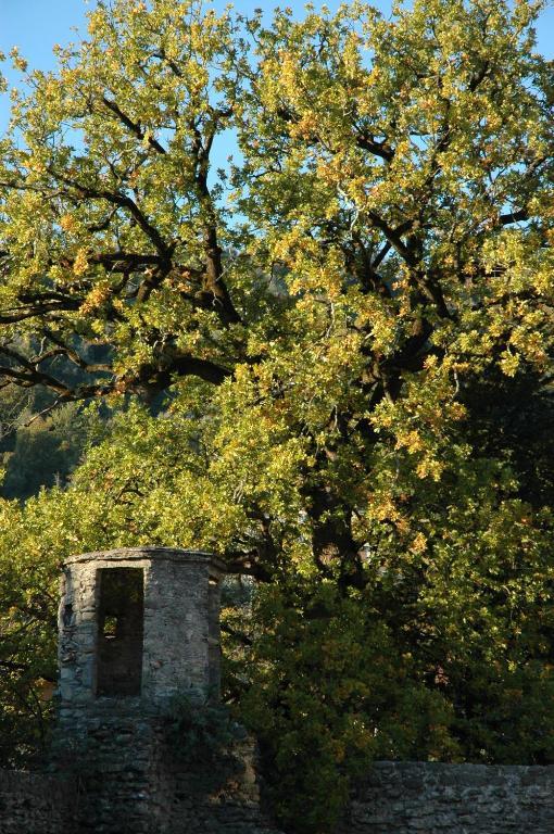 Agriturismo Casteldelpiano Licciana Nardi Екстер'єр фото